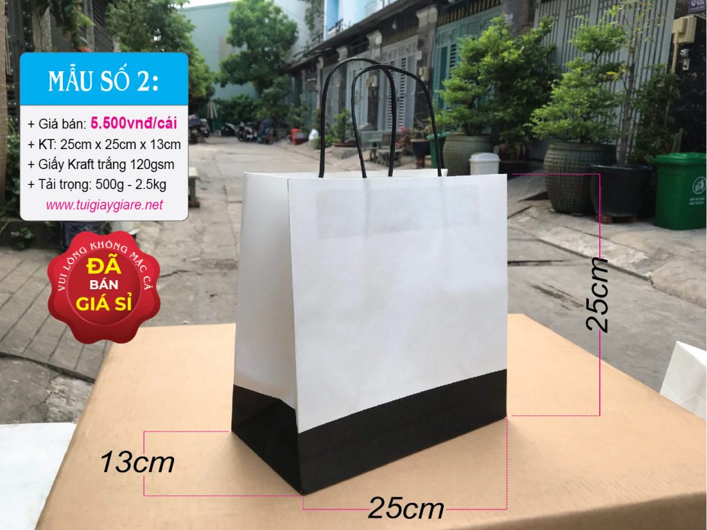 Túi giấy kraft