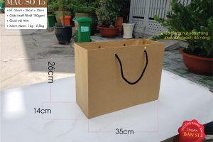 Túi thích hợp đựng quần áo thời trang hoặc sản phẩm tường đối nhẹ