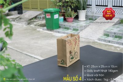 Túi giấy tết
