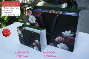 Túi giấy kích thước size XL