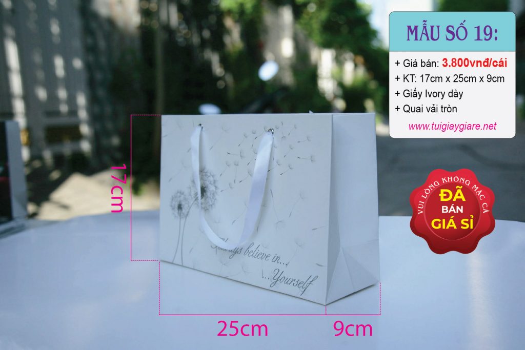 Túi giấy quai Ruy băng