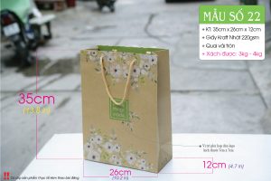 Túi giấy thời trang - Chất liệu giấy Kraft do Cty Vũ Thị sản xuất và phân phối