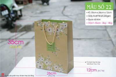Túi giấy thời trang - Chất liệu giấy Kraft do Cty Vũ Thị sản xuất và phân phối