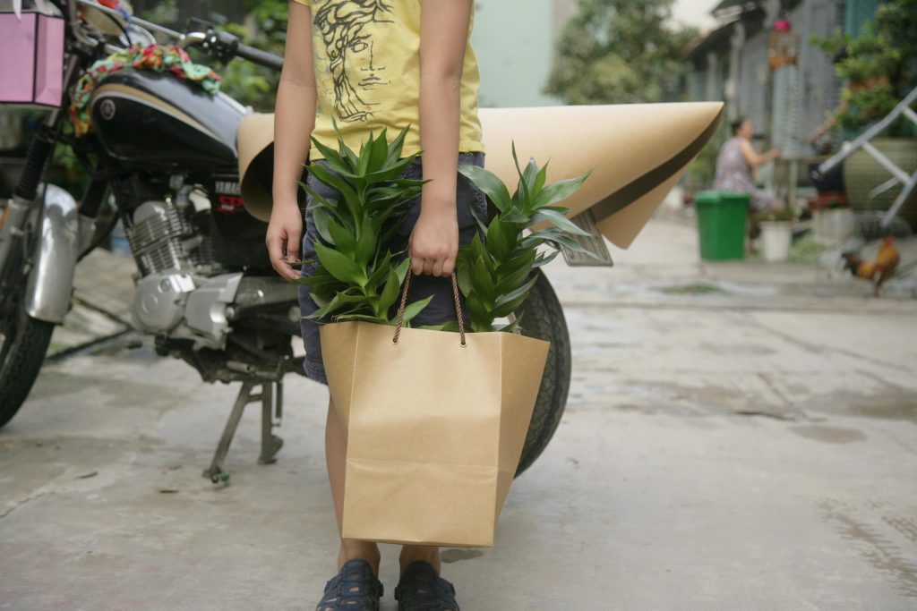 Kraft Paper bags