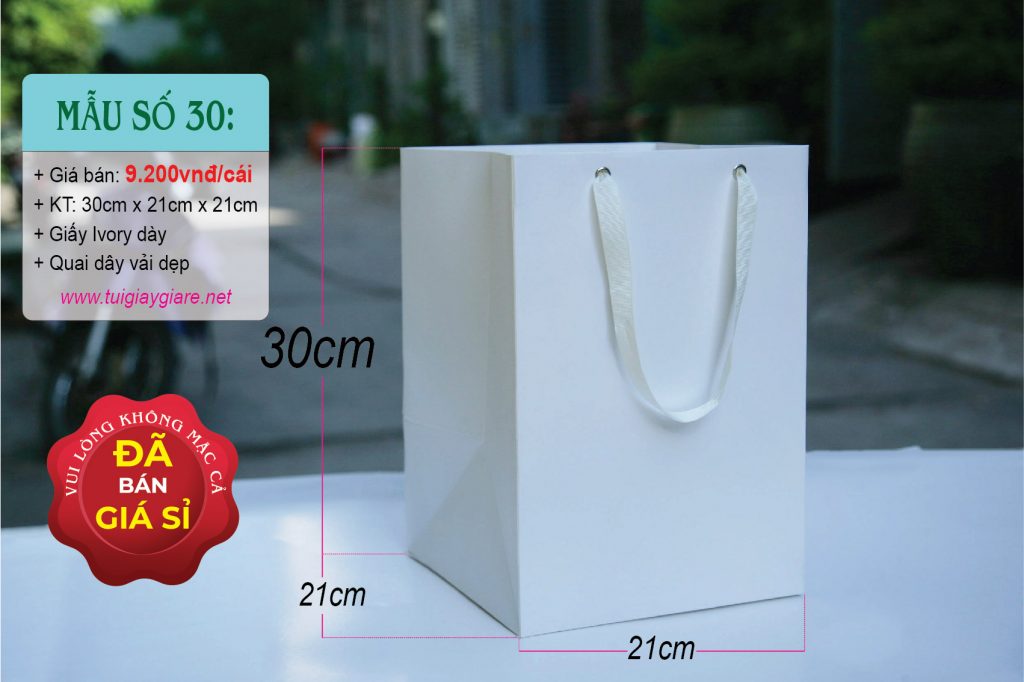 Túi giấy Đáy vuông size XL Túi đáy vuông size XL