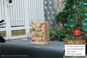 Túi giấy kraft khổ A4