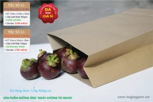 Túi giấy môi trường