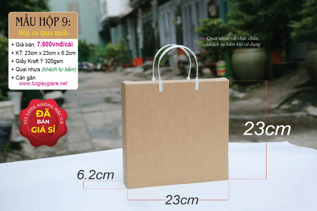 Hộp giấy kraft có quai xách