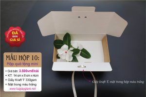 Hộp quà tặng mini