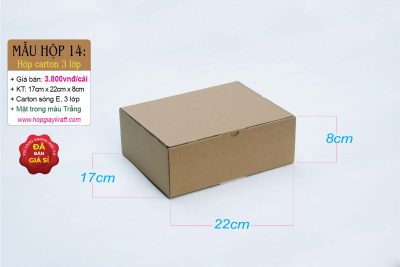 Hộp carton 3 lớp sóng E