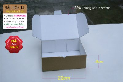 Hộp carton 3 lớp trắng