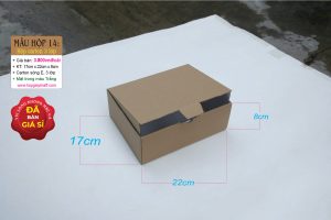 Hộp carton 3 lớp