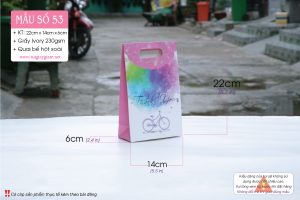 Túi giấy đựng quà tặng mỹ phẩm