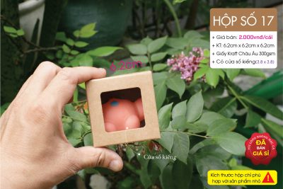 hộp giấy kraft có cửa sổ kiếng