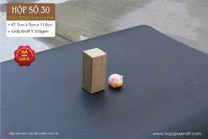 Hộp tinh dầu 100ml