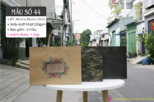 Mẫu 44: Túi kraft size ngang