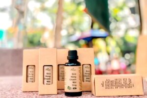 Hộp 5: Hộp đựng tinh dầu 50ml