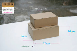Hộp 14: Hộp carton 3 lớp