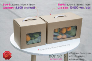 Hộp 3: Hộp đựng trái cây