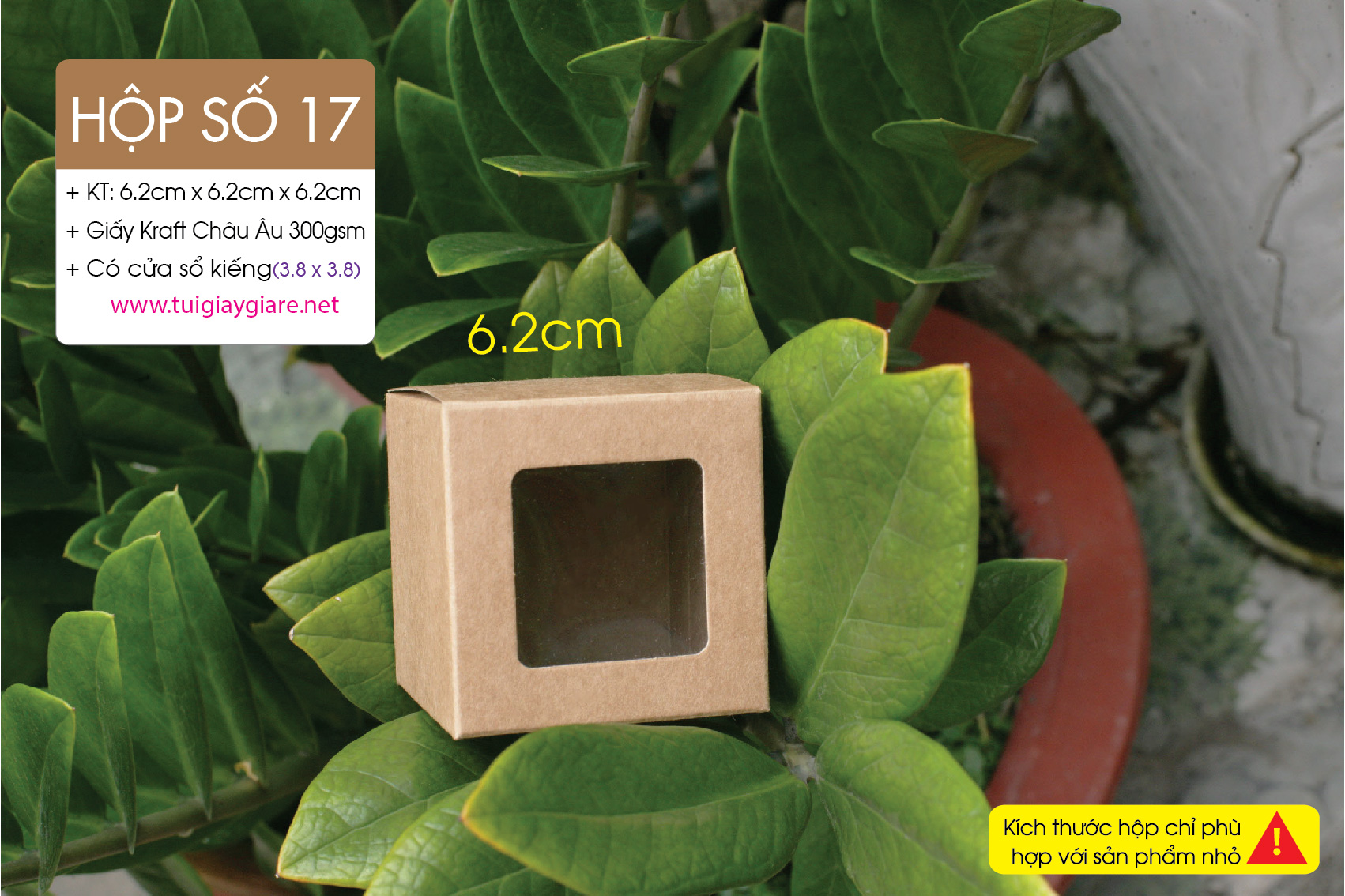 Hop-vuong-size-mini-03-1.jpg