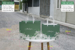 Mẫu 64: Túi đựng hộp quà
