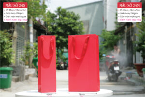 Mẫu 24: Túi giấy quà Tết