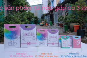 Mẫu 53: Túi nắp gập size S