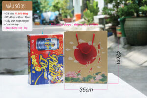 Mẫu 35: Túi đựng quà lớn