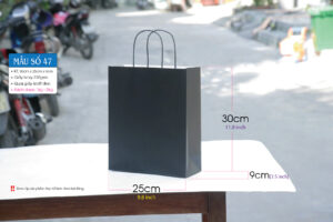 Mẫu 47: Túi giấy đen